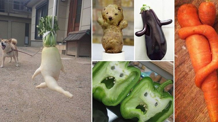 Aj takéto “nepodarky” vytvorila matka príroda